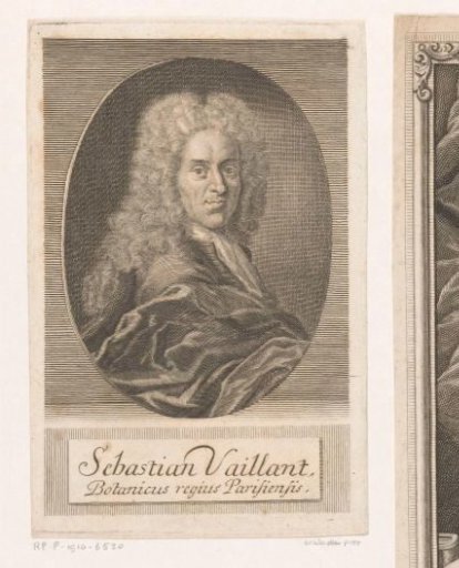 Portrait of Sébastien Vaillant