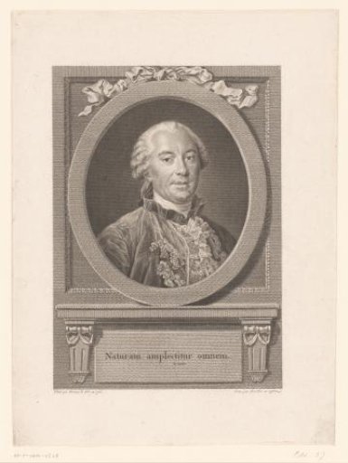 Portrait of Georges-Louis Leclerc de Buffon
