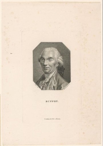 Portrait of Buffon