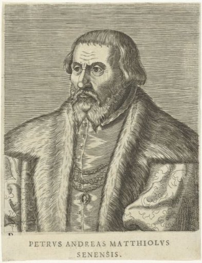 Portrait of Pietro Andrea Mattioli