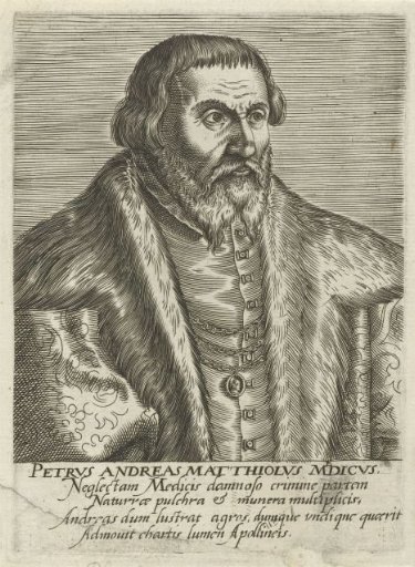 Portrait of Pietro Andrea Mattioli