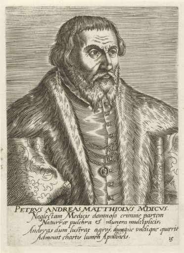 Portrait of Pietro Andrea Mattioli