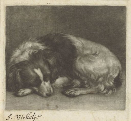 Sleeping Dog, Possibly a Spaniel