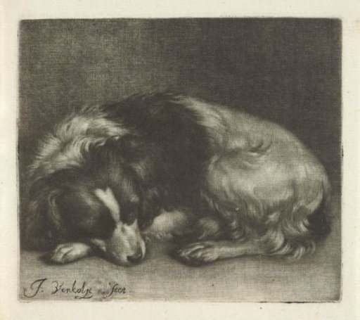 Sleeping Dog, Possibly a Spaniel