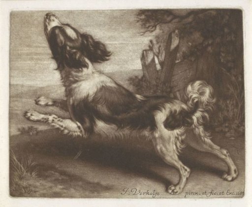 Running Dog, Possibly a Spaniel