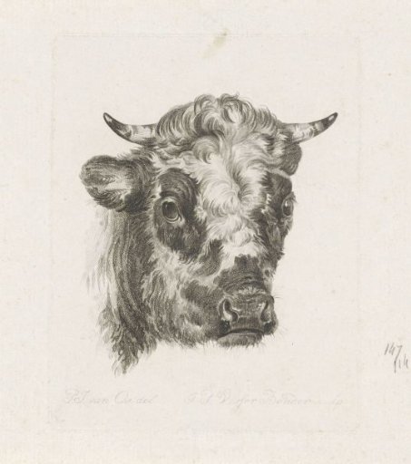 Portrait of Rudolf of France
