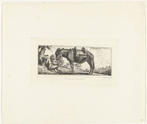 Man with a Donkey