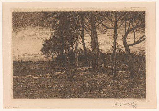 Landscape with trees