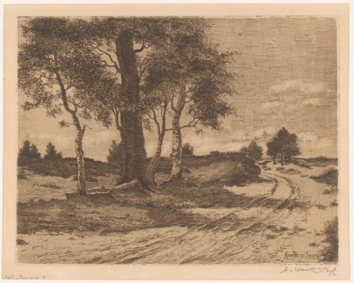 Landscape with trees and heath