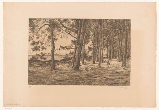 Mastbosch near Garderen