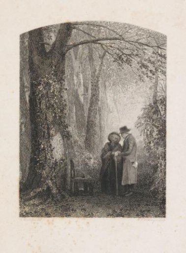 Elderly Couple in a Wood