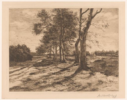 Country road with trees