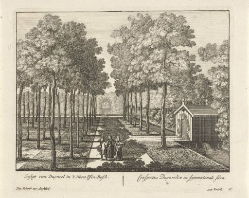 View of the lime wood of the estate Duinrell
