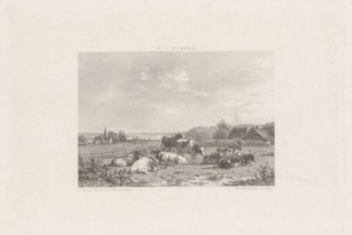Meadow with cows