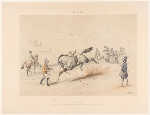 Training of the horse Brillant
