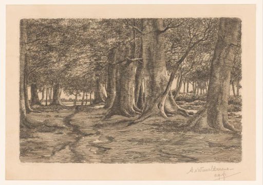 Landscape with trees