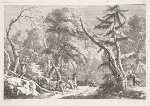 Forest Landscape