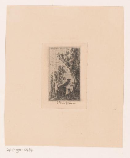 House under a Tree