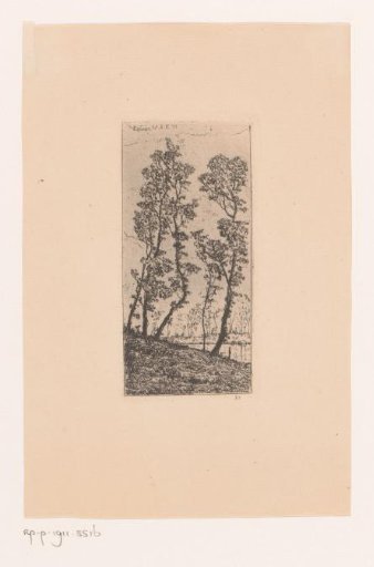 Four trees on a slope
