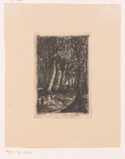 Forest Path