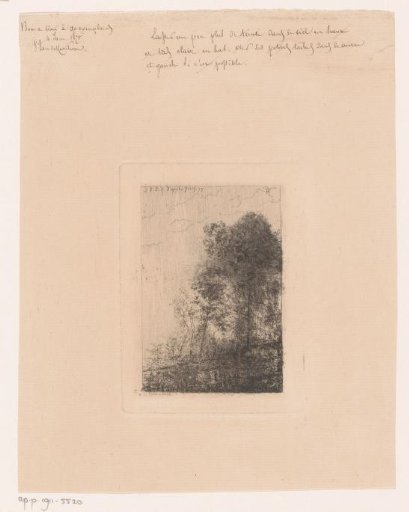Forest Landscape