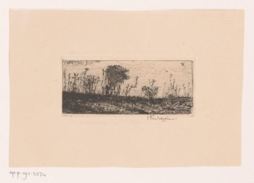 Tree-Filled Landscape