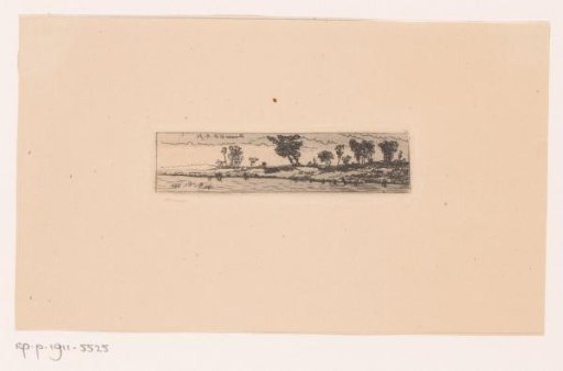 River landscape