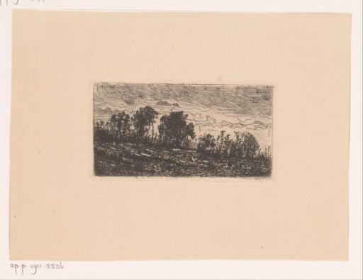 Landscape with a row of trees at evening