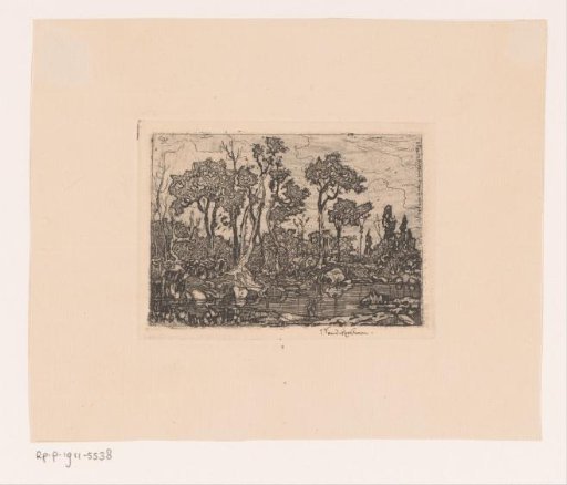 Pool of water with trees along the bank