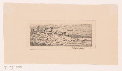 Hilly landscape with a row of trees