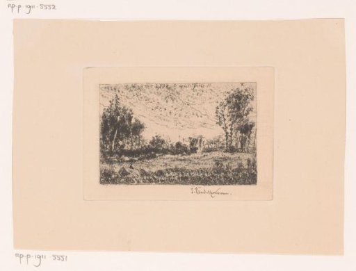 Landscape with a few trees