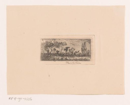 Wooded landscape