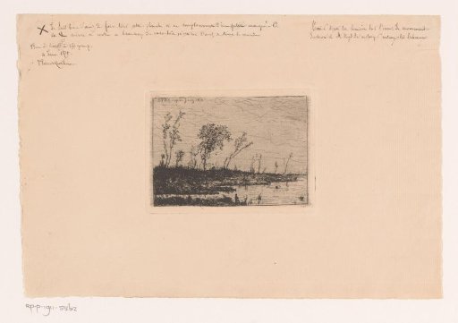 Trees on the Bank of a Lake