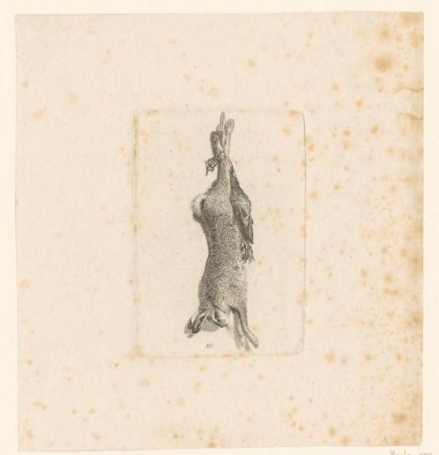 Dead Hare and a Bird