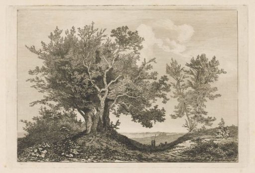 Country road between two groups of trees