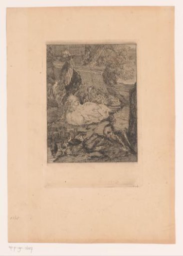 Chickens, ducks and a rooster