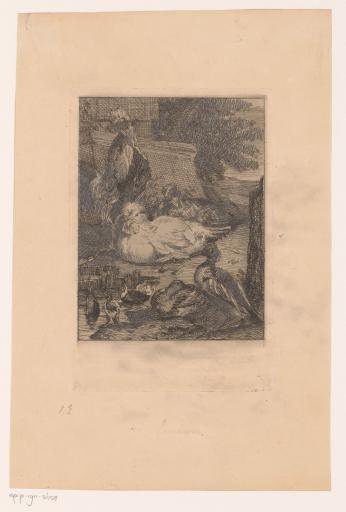 Chickens, ducks and a rooster