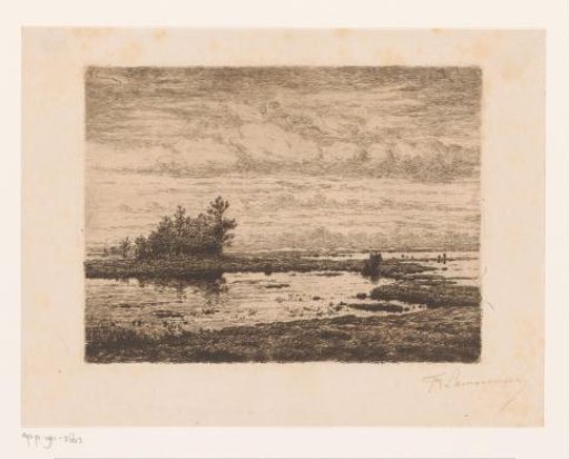 Marsh landscape