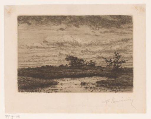 Heath landscape at evening