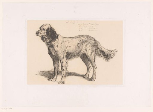 Standing dog