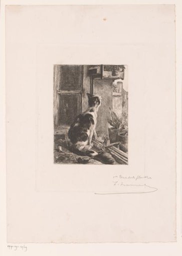 Shoemaker's workshop with a cat on the windowsill, lying in wait by a birdcage