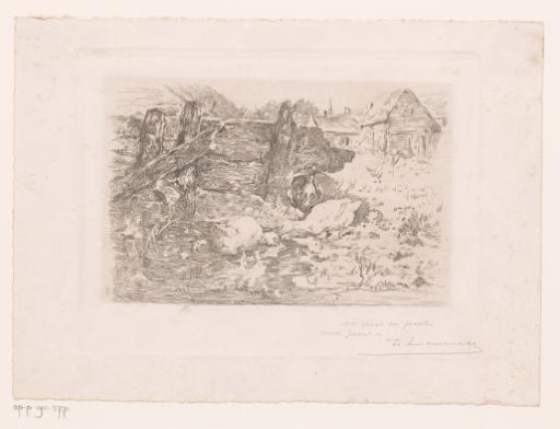 Ducks on the farmyard