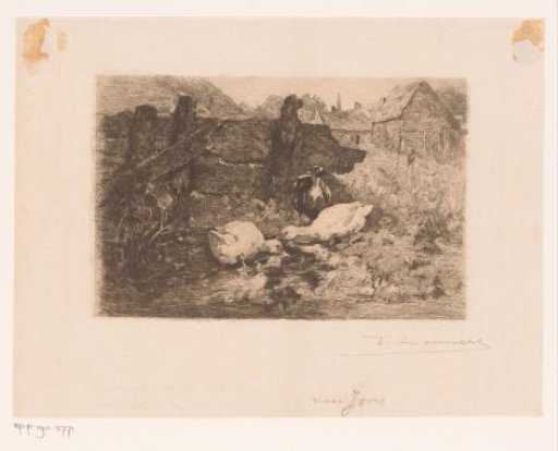 Ducks on the farmyard