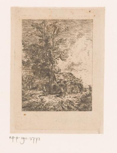 Dilapidated House by a Tree