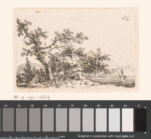 Landscape with trees by the water