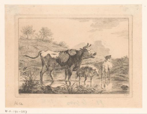 Cow and two sheep at a ford