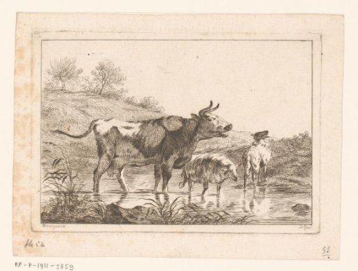 Cow and two sheep at a ford