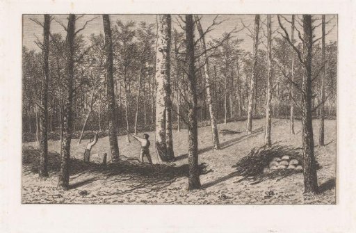 Woodcutters Working in the Forest