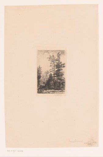 Stag in a landscape