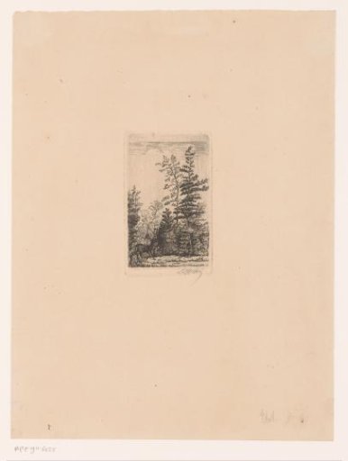Stag in a landscape